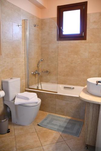 a bathroom with a shower and a toilet and a sink at Blue and Green Guesthouse in Mystras