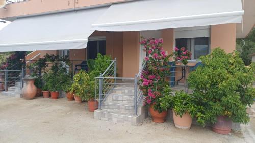 a row of potted plants in front of a building at Acheron Flow by ΜΡS in Chóïka
