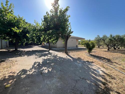 a shadow of a tree on a dirt road at Casa olivar de Riudoms in Reus