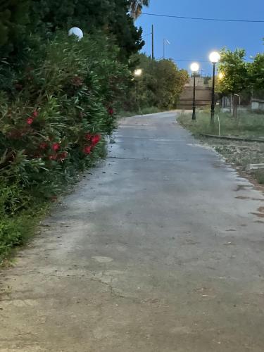 an empty road with red flowers and street lights at Casa olivar de Riudoms in Reus