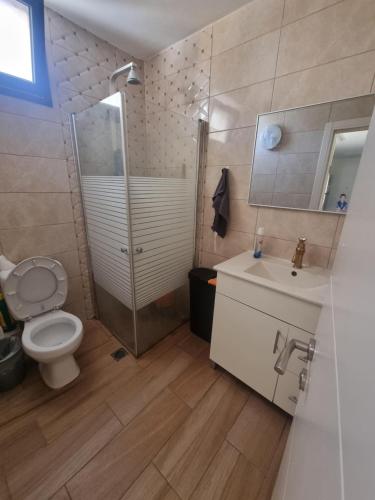 a bathroom with a toilet and a sink and a shower at הבית בפיקא. צמוד לרמבם in Tiberias