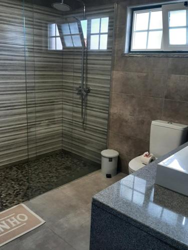 a bathroom with a shower and a toilet at Casa vicente in Santa Cruz das Flores