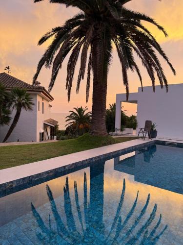 a palm tree sitting next to a swimming pool at Tierratlanta Suites in Zahara de los Atunes