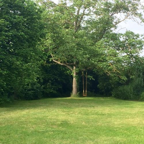 a tree in the middle of a grass field at Chez Madame Titus in Ormoy-Villers