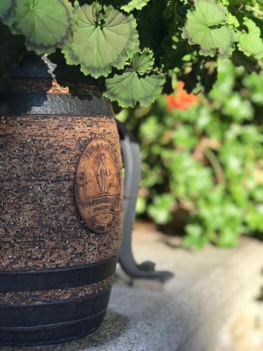 a vase with a plant in it next to some plants at Svatojakubský pivovar 