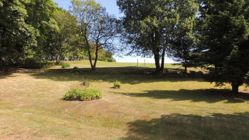un parco con alberi e erba e un campo di Lange a Deštné v Orlických horách