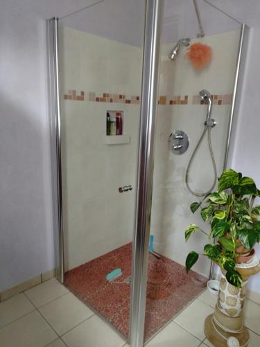 a shower stall with a plant in a bathroom at Appartement 3 pièces in Cloyes-sur-le-Loir