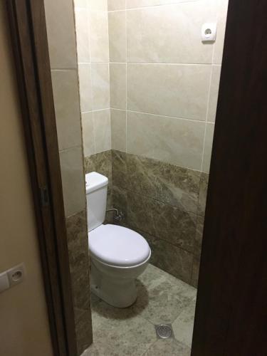 a bathroom with a toilet and a shower at Borjomi Sichi in Borjomi