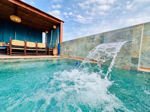a dolphin in the water in a swimming pool at Happy Monkey Villa Taghazout in Aït Ahmed