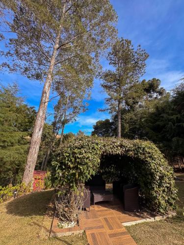 a garden with a hedge and a tree at Pousada das Acácias in Camanducaia