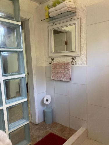 a small bathroom with a mirror and a toilet at Rural cotage and sandy bay in Tela