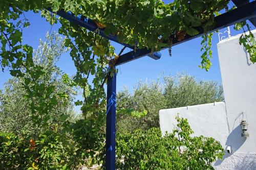 Gallery image of Klironomos Apartments Logaras in Logaras