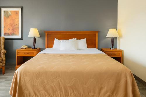 a bed in a hotel room with two lamps at Quality Inn & Suites McDonough South I-75 in McDonough