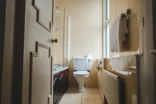 a small bathroom with a toilet and a sink at Dooly's Hotel in Birr