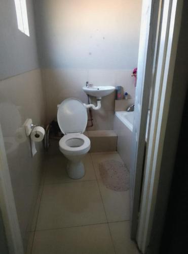 a small bathroom with a toilet and a sink at Rocky Hills Guesthouse in Piet Retief