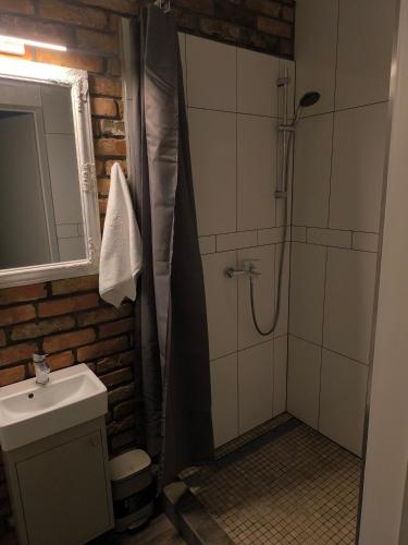 a bathroom with a shower and a sink at Studio3 in Utena