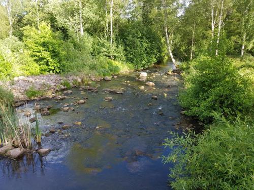 a stream of water with rocks in a forest at Tranås Vandrarhem in Tranås