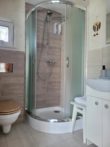 a bathroom with a shower with a toilet and a sink at O'Sowa Noclegi Wetlina in Wetlina