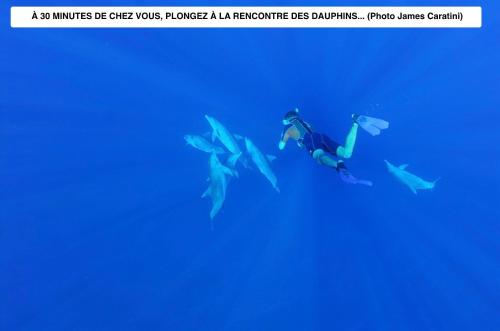 a man is running in the water with sharks at Vaste logement spa vue superbe Ti Kaz Miyou 1 in La Possession