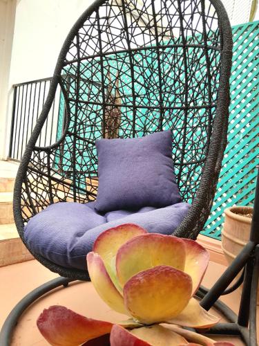 a wicker chair with a pillow and a plate of fruit at Vent Des Dunes in Essaouira