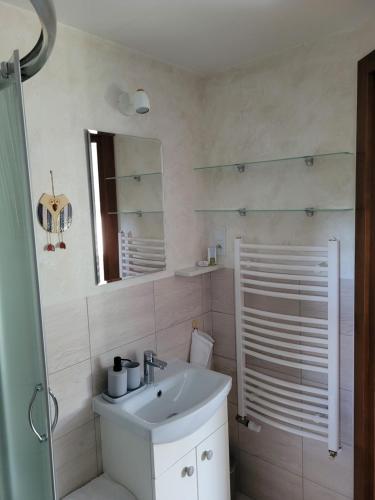 a bathroom with a sink and a mirror and a shower at O'Sowa Noclegi Wetlina in Wetlina