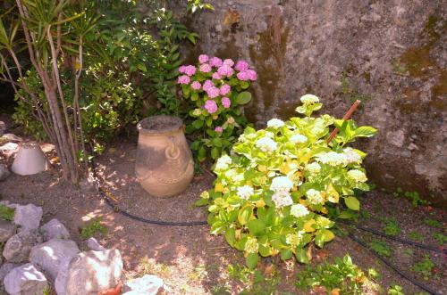 a group of flowers in a garden with a pot at Hotel Del Sole Al Plebiscito in Sapri