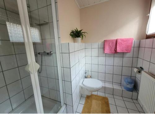 a bathroom with a toilet and a shower with pink towels at Gasthaus für Monteure in Niederzissen