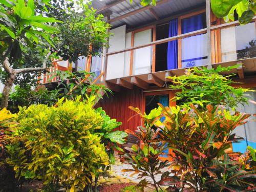 a house with a bunch of plants in front of it at Mary House in San Cristobal