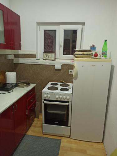 a kitchen with a stove and a white refrigerator at Smeštaj Daca in Zaječar
