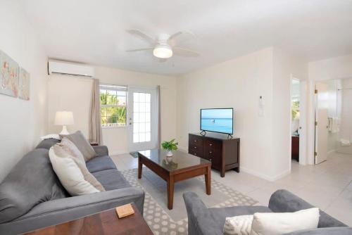 a living room with a couch and a tv at Snug Harbour View Condo #7 in George Town