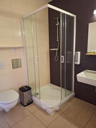 a bathroom with a shower and a toilet at Horský hotel Brans in Malá Morávka