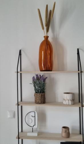 Riverside Apartment Marvila