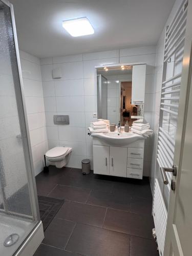 a bathroom with a sink and a toilet and a mirror at 2-Zimmer Souterrain Wohnung in Kehl am Rhein