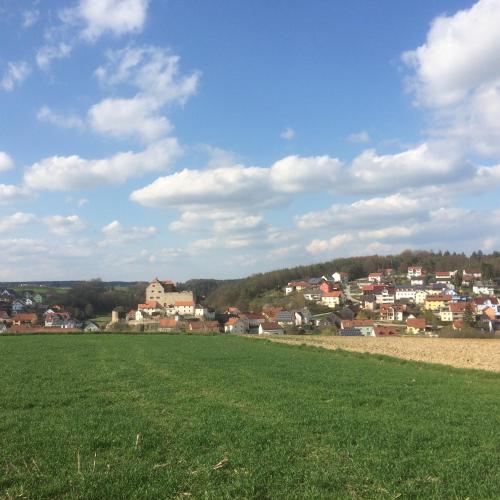 a green field with a town in the background at Zur Krone in Wolfsegg