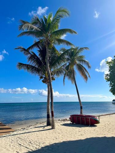 two palm trees and a red boat on the beach at Faroway Luxury Villa in Half Way Pond