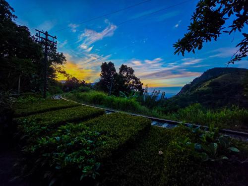 a road in the mountains with a sunset in the background at Ella Happy View Homestay in Ella
