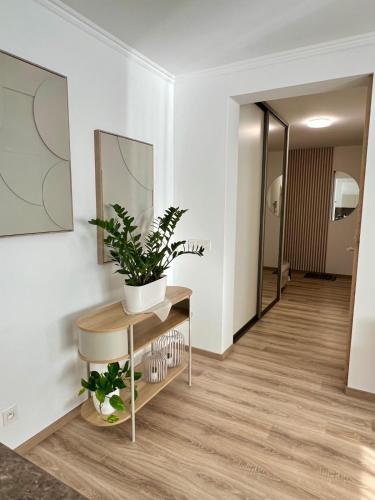 Die Harmonie - Modern Apartment near City Center with Free Private Parking