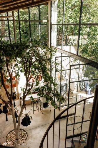 a house with a tree in a room with windows at MORO Marrakech Boutique Hôtel in Marrakech