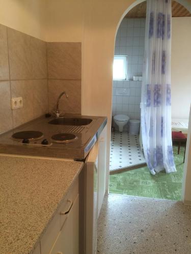 a kitchen with a sink and a bathroom with a toilet at Zur Krone in Wolfsegg