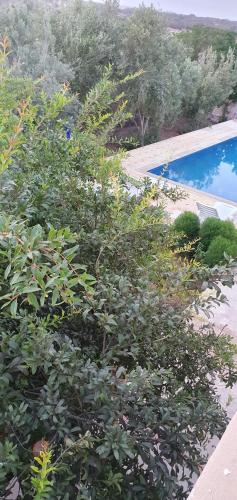 Πισίνα στο ή κοντά στο Villa Yassalam Mogador