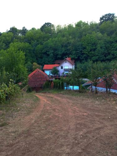 a house on a hill next to a dirt road at Kuca Denic in Svrljig