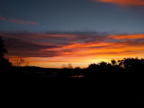 a sunset over a field with trees in the foreground at The Patch at Snettisham Beach in Snettisham