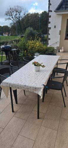 a white table with a potted plant on it at Appartement en bord de mer in Étaples