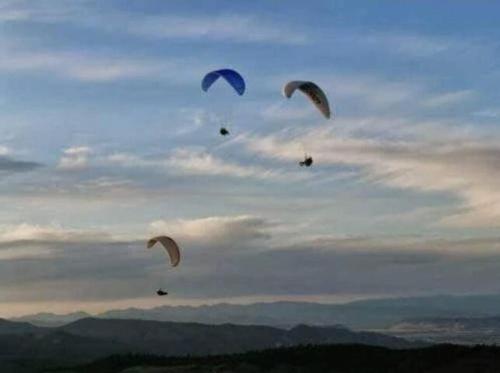 a group of kites flying in the sky at Enchanting Getaway Farmhouse And Tiny House Duo in Jacksonville