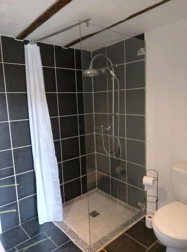a bathroom with a shower with a toilet and a shower curtain at Dépendance atypique 2chbres parc piscine in Villebrumier