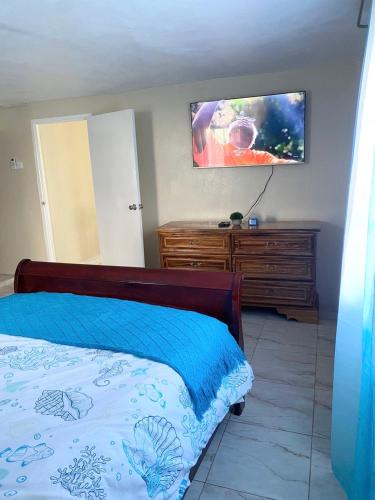 a bedroom with a bed and a tv on the wall at Aristo Oasis, Luxury Guest suite in Santa Cruz in Santa Cruz
