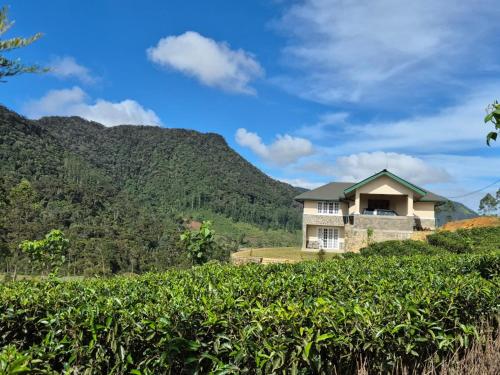a house on a hill in a tea plantation at The Mountain Links, Upcot, Nuwara Eliya in Maskeliya