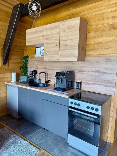 a kitchen with a stove and a sink at Villa Merima Vlasic in Vlasic