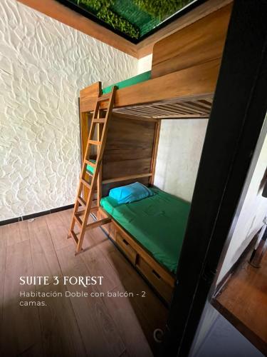 a bunk bed with a ladder in a room at Subtropica Forest Suites in Mindo