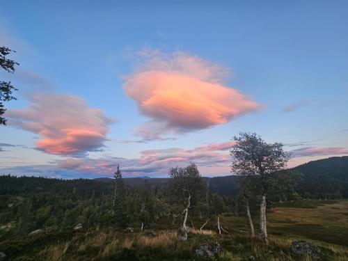 un cielo nublado con árboles en un campo en Magic View - Unspoiled nature - Summer mountain pasture with goats, 